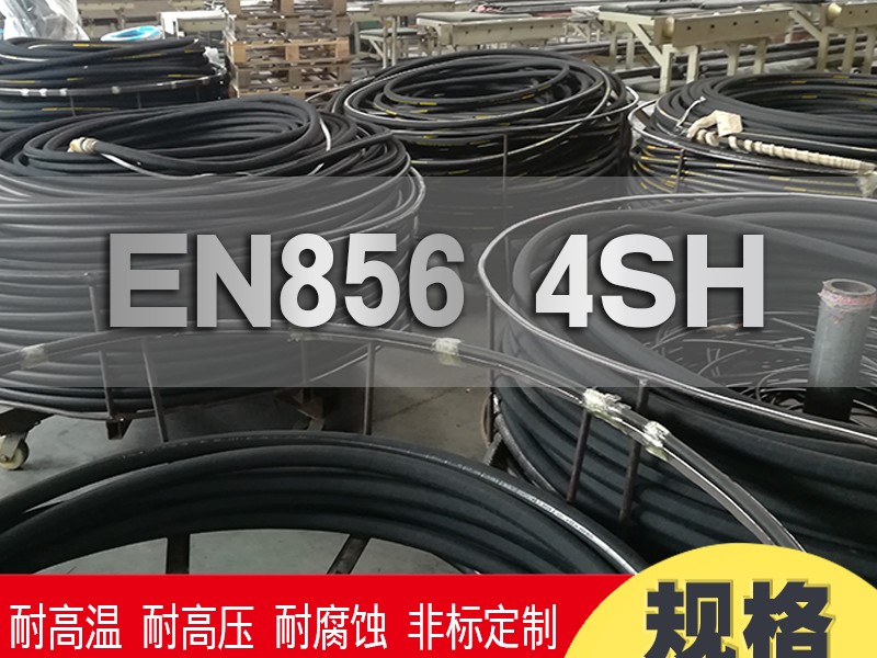 EN 856 4SH 實(shí)物圖片